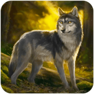 ģ v1.0.1