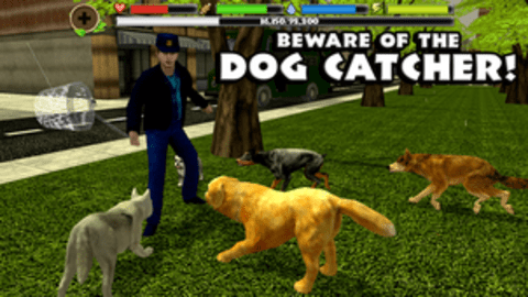 \