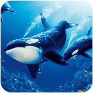 ģѰ v1.1.0