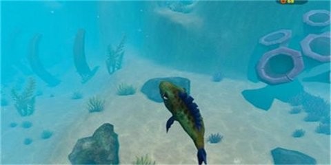 675b9c4d5d45da39ac0d0008_480x270