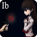IBֲ