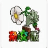 pvzӽ
