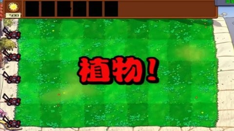 20246189269097190