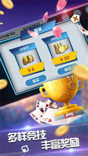 17356250627417