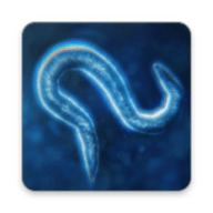 ֻ v40.26