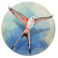 չ᰿ֻ v1.5.546