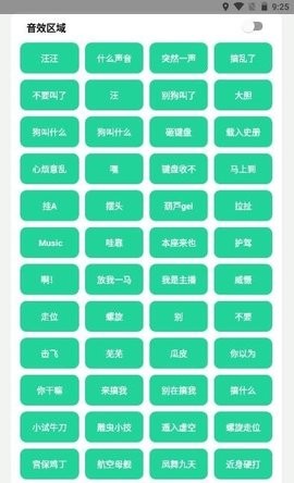 129996716134249ran5