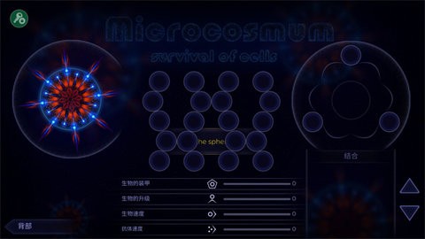 202108261122494709