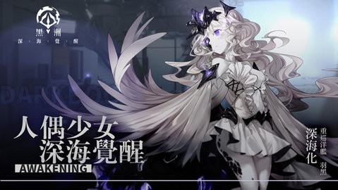 311446429lx8