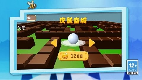 20250113141658855