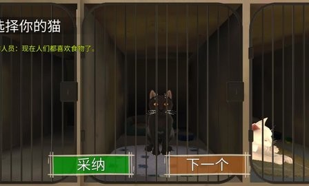 204587_bupq