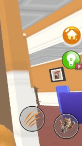 1736564978_4