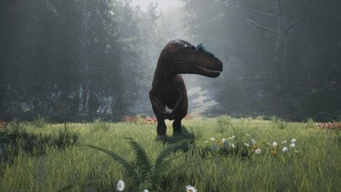 20230803083955158_480x270