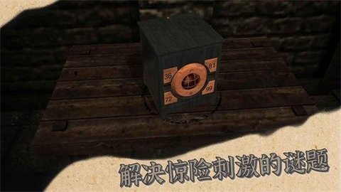 14172402fypm