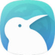 Kiwi v124.0.63