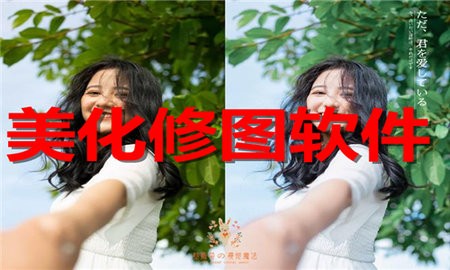 ͼϼ