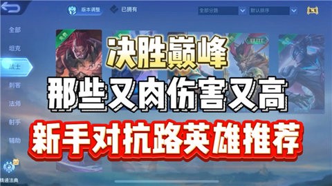 决胜巅峰新手推荐英雄有哪些 决胜巅峰新手有哪些优质选择