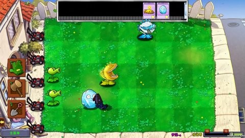 05095534pwzh