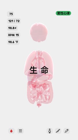13094858heat