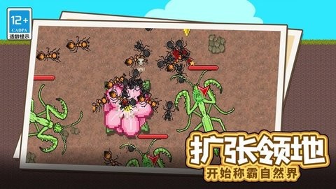 27150149khjg