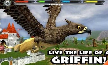 \