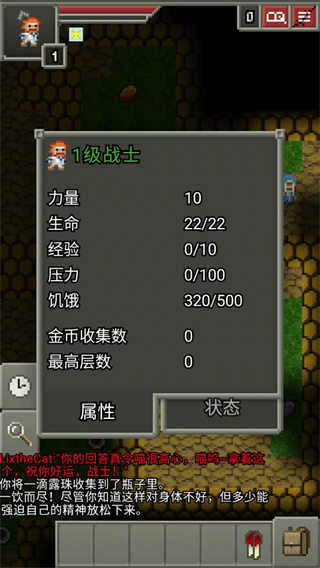 17395266531895