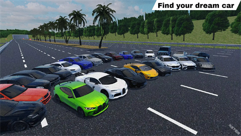 17396145561557