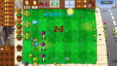 ֲսʬ棨Plants Vs Zombies Golden chess 2ͼ