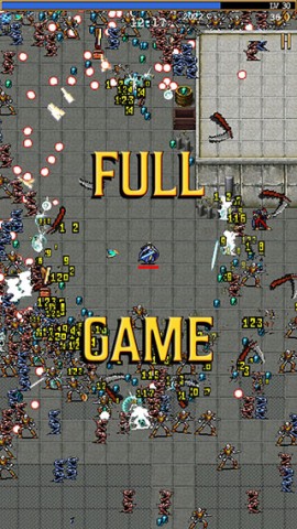 17399531952720