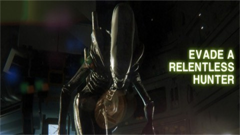 17401181708630