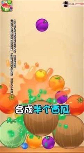 17401264951147