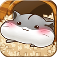 hamster life