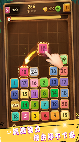 17404528557296