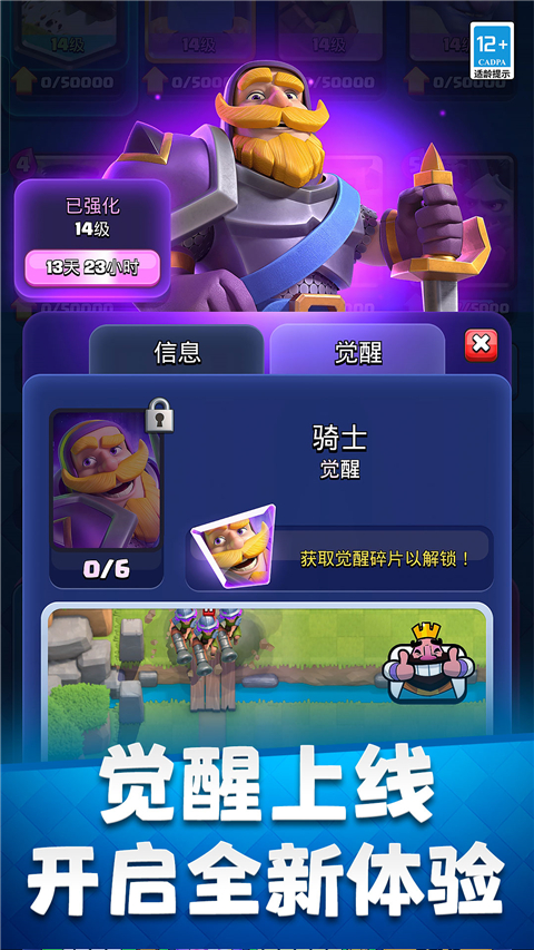 17387499718150