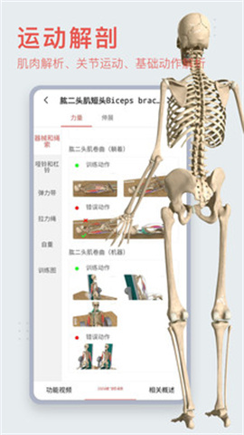 3Dbodyֻ 2ͼ