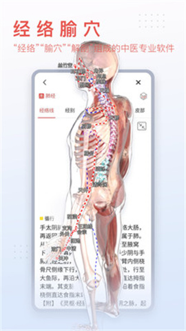 3Dbodyֻ 1ͼ