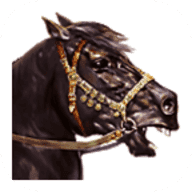 뿳ɱ(M&B: Warband)