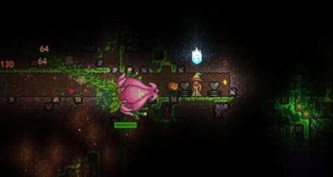 ̩ee 14ͼ