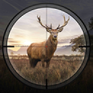ԾѻֶHunting Sniper