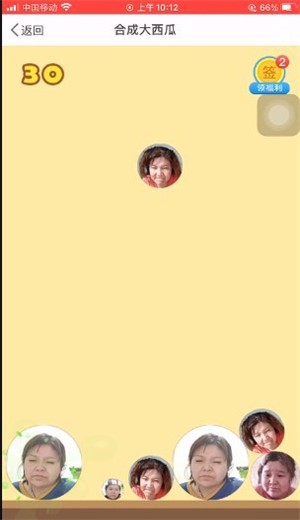 17428020795066
