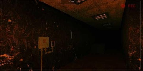 ҵֲ֮ɭ 1ͼ