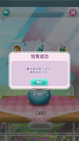 ʻС 5ͼ
