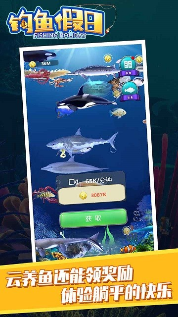 17431541062417
