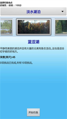 17446132704631