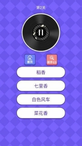 17447074041394