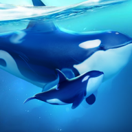 ССˮ(World of Water)