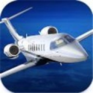 ȫģAerofly FS Global v2.5.29