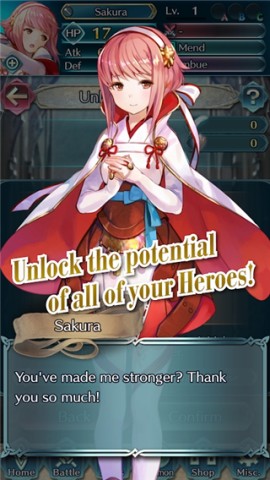 17449387648007