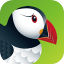 puffin