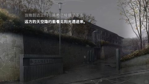 17456426302751